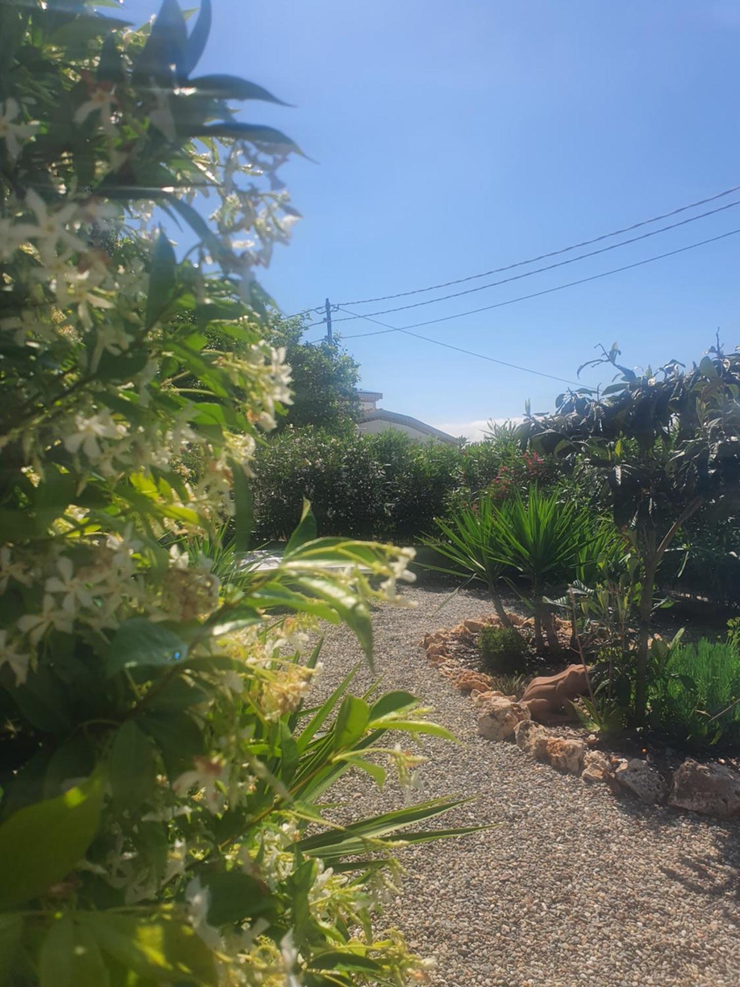 Residence Eucalyptus Suite 2 Casa Indipendente 산레모 외부 사진
